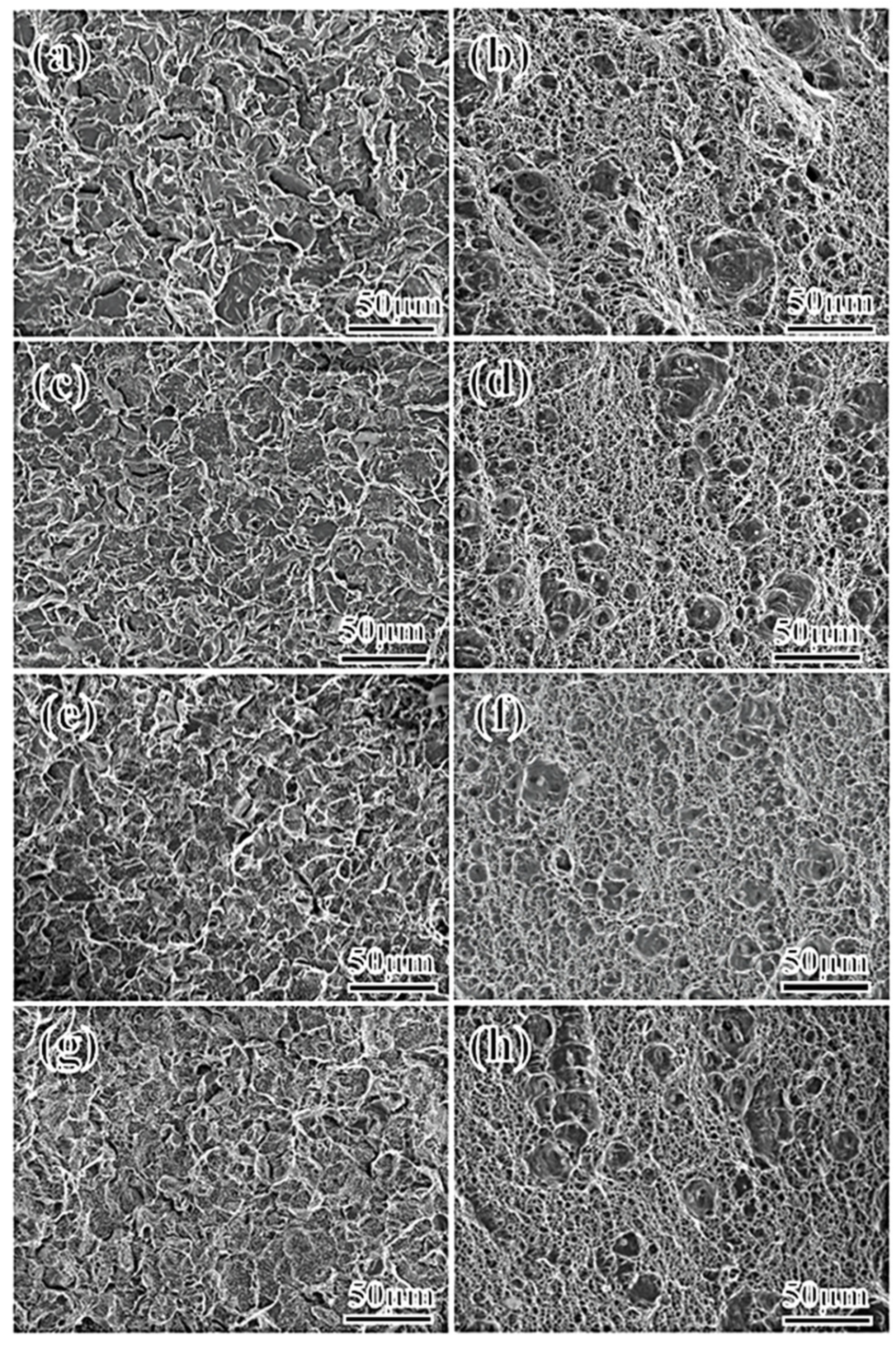 Materials 17 01012 g003