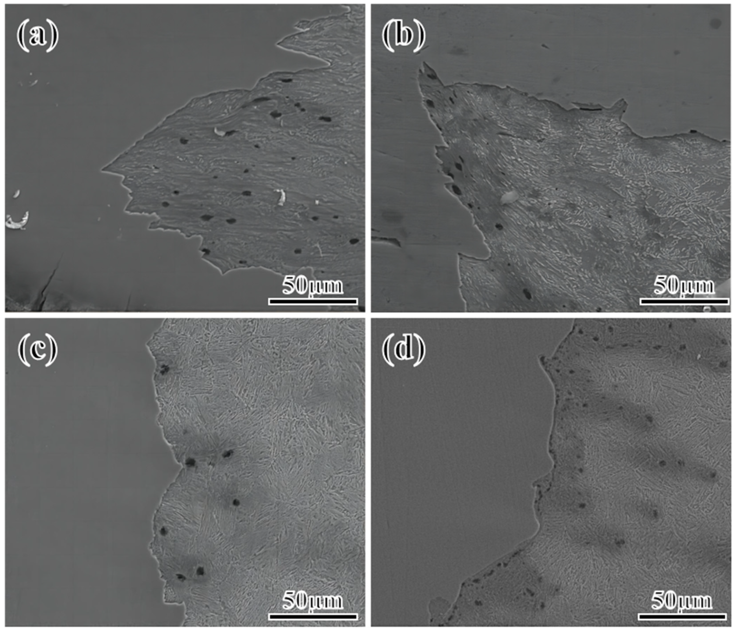 Materials 17 01012 g005