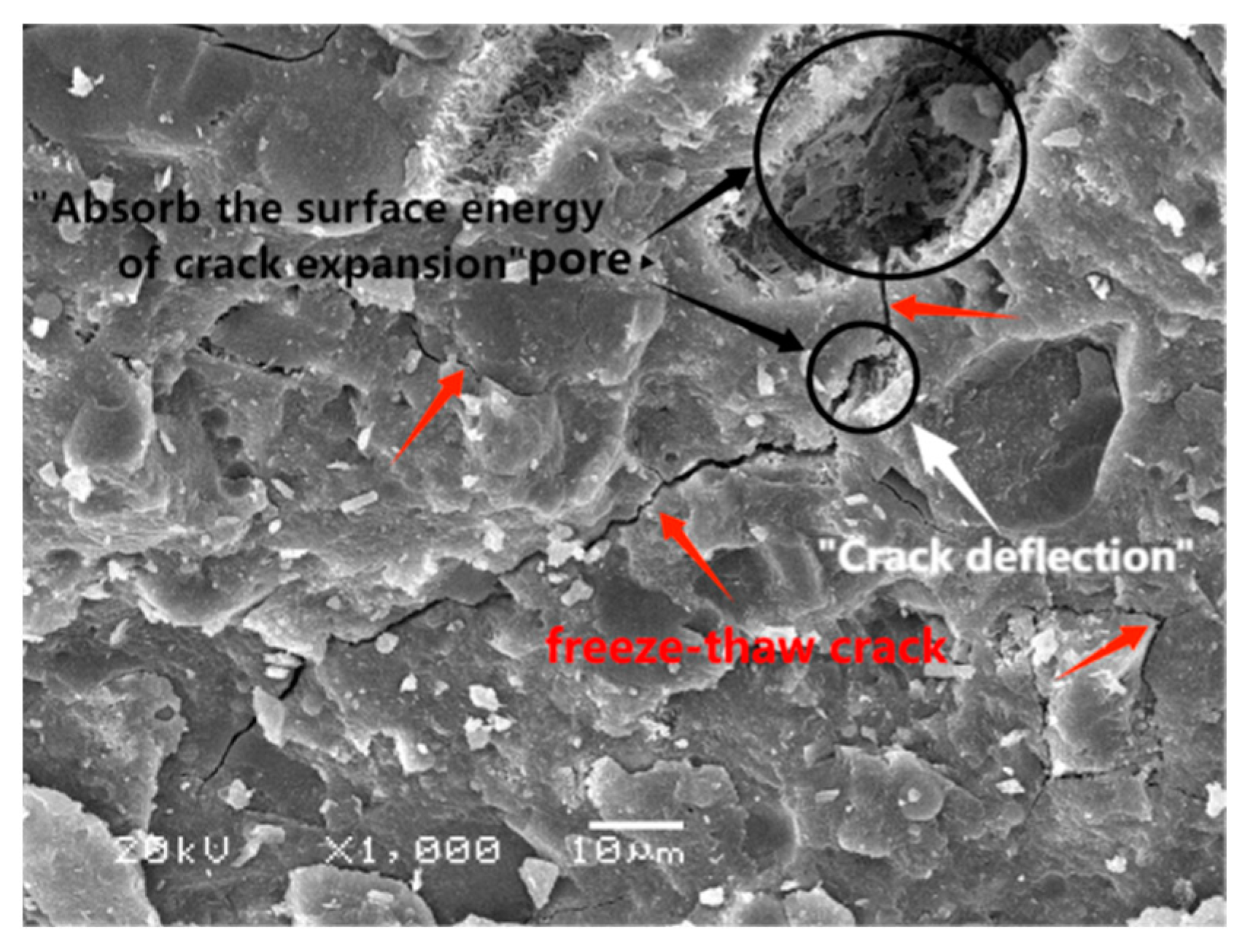 Materials 17 01131 g007