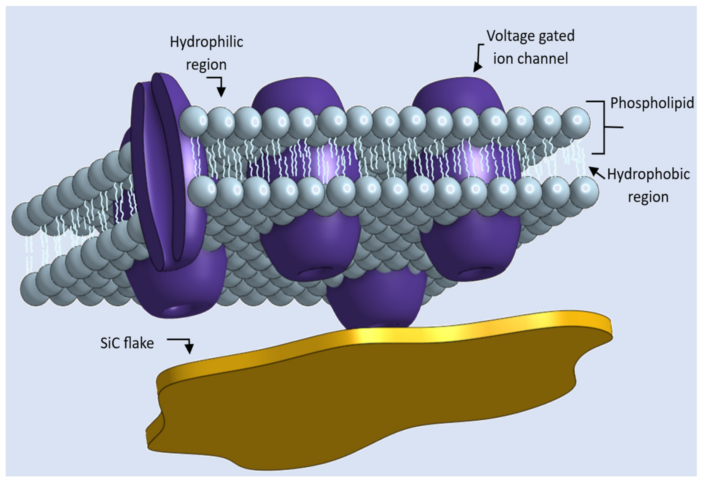 Materials 17 02332 g002
