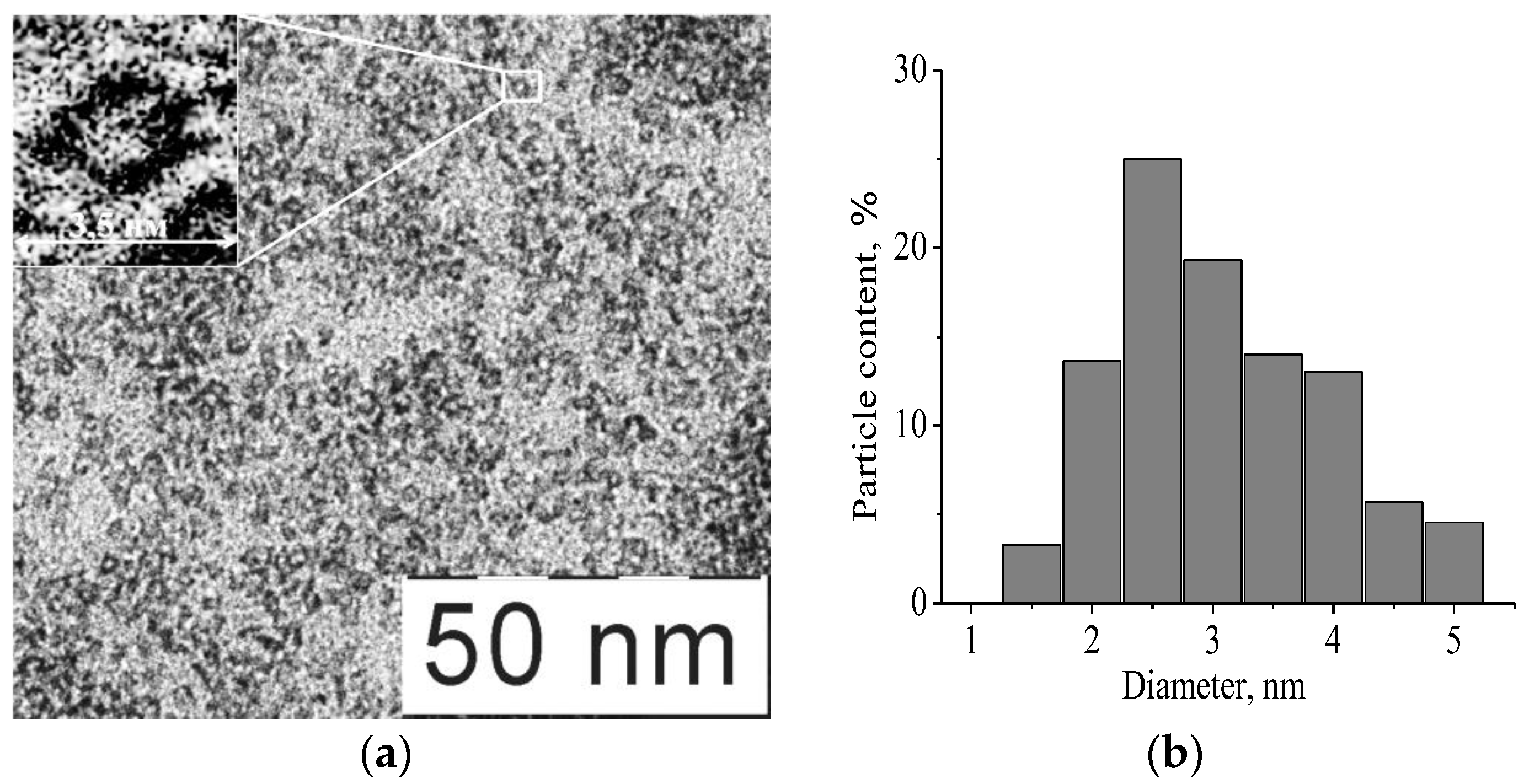 Materproc 04 00002 g003