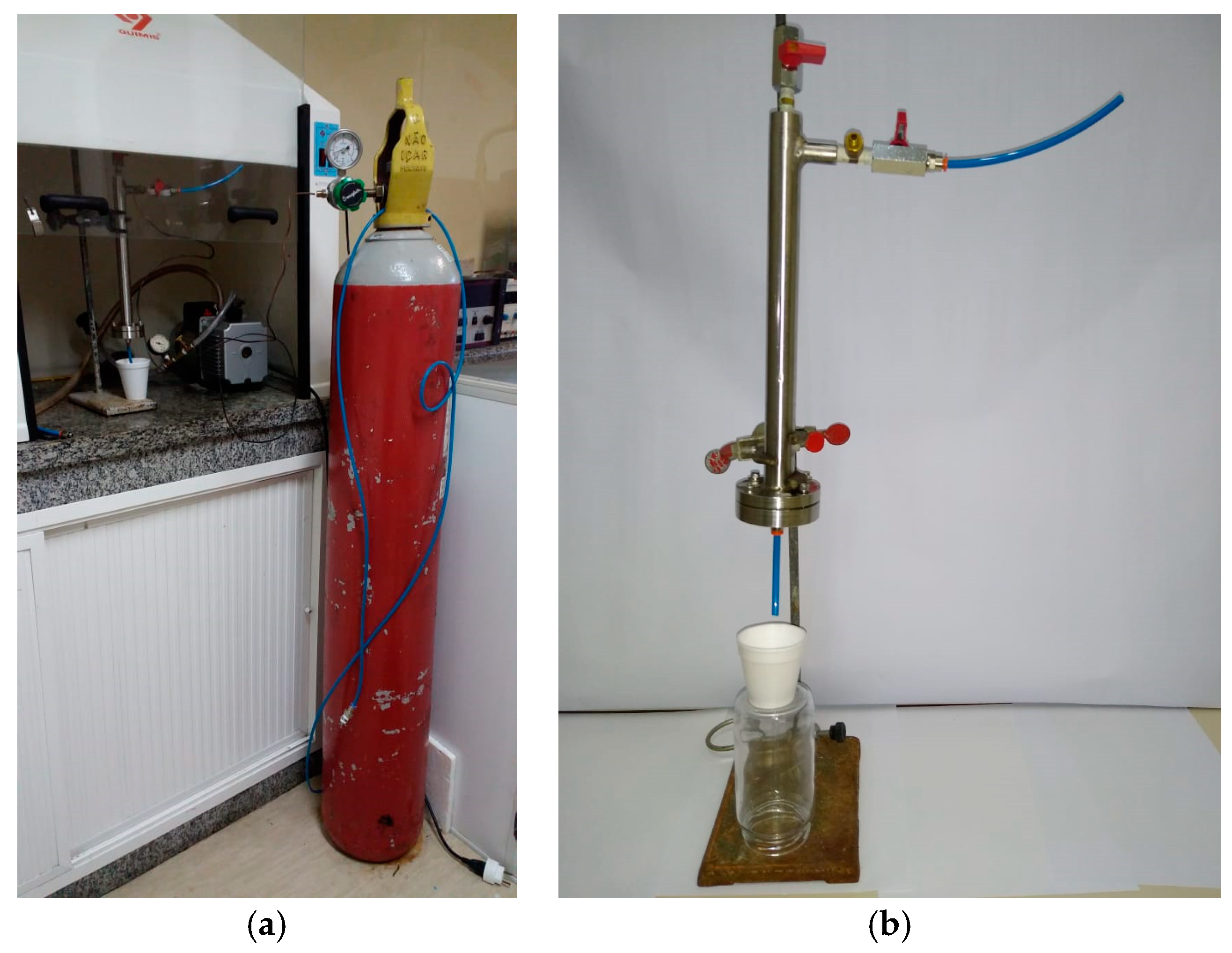 Materproc 04 00029 g001