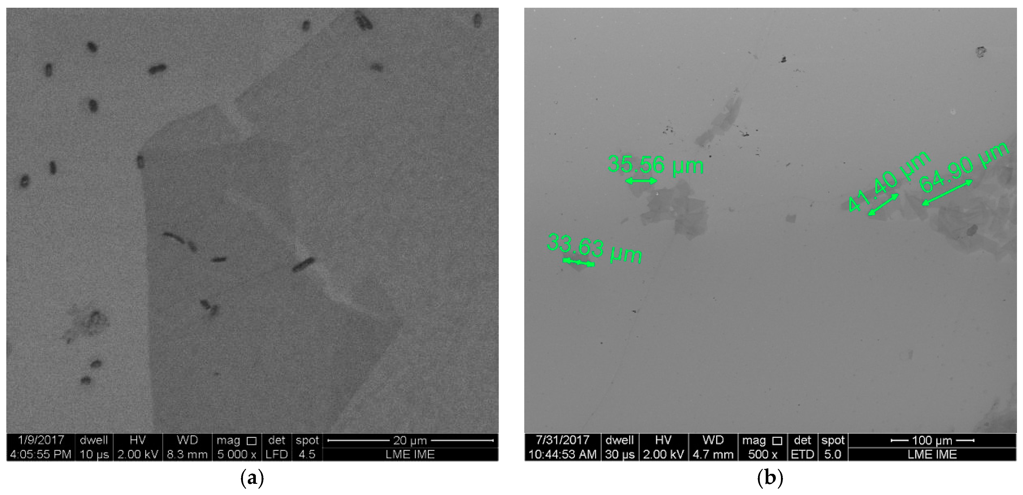 Materproc 04 00029 g003