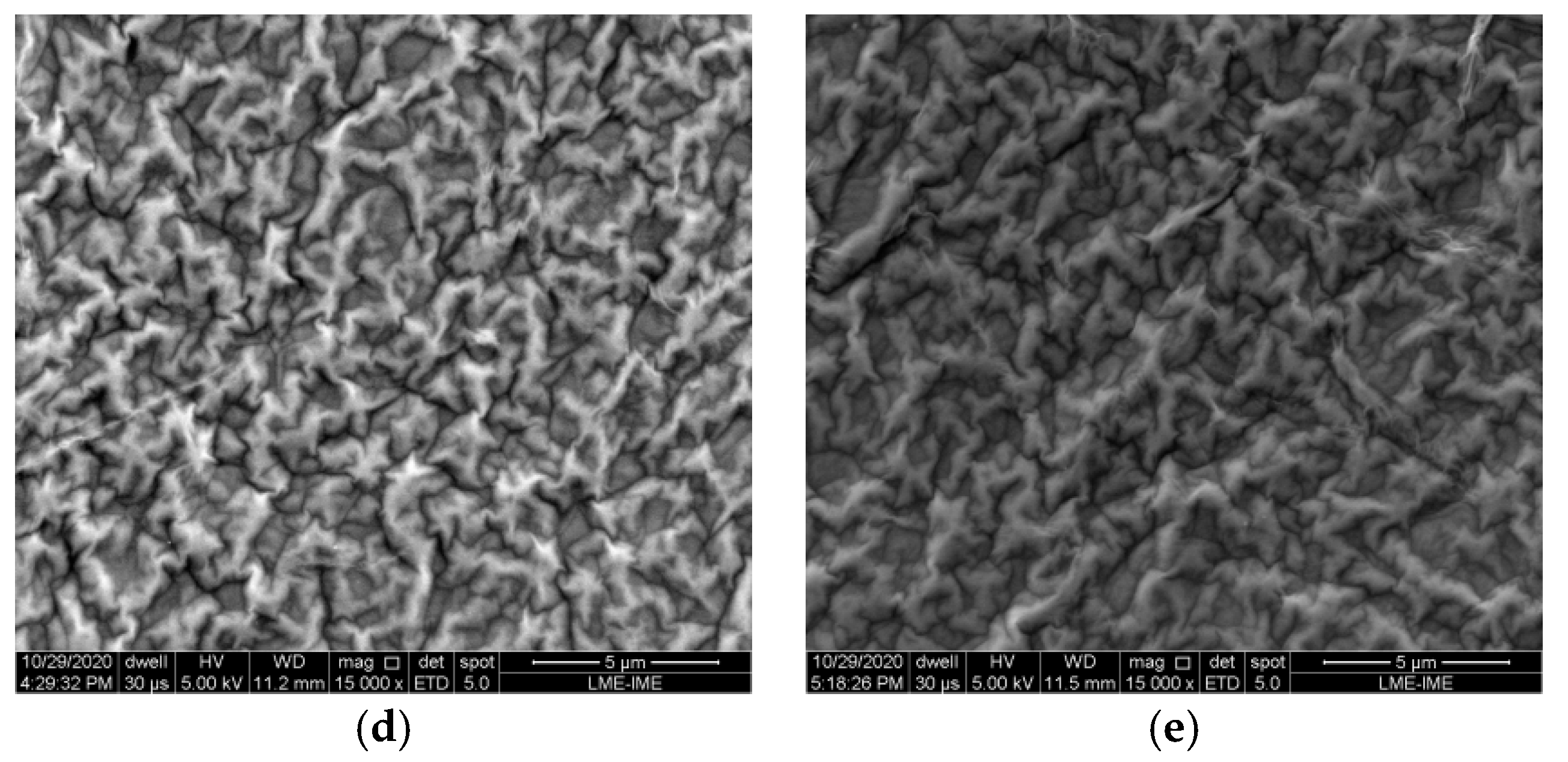 Materproc 04 00029 g006b