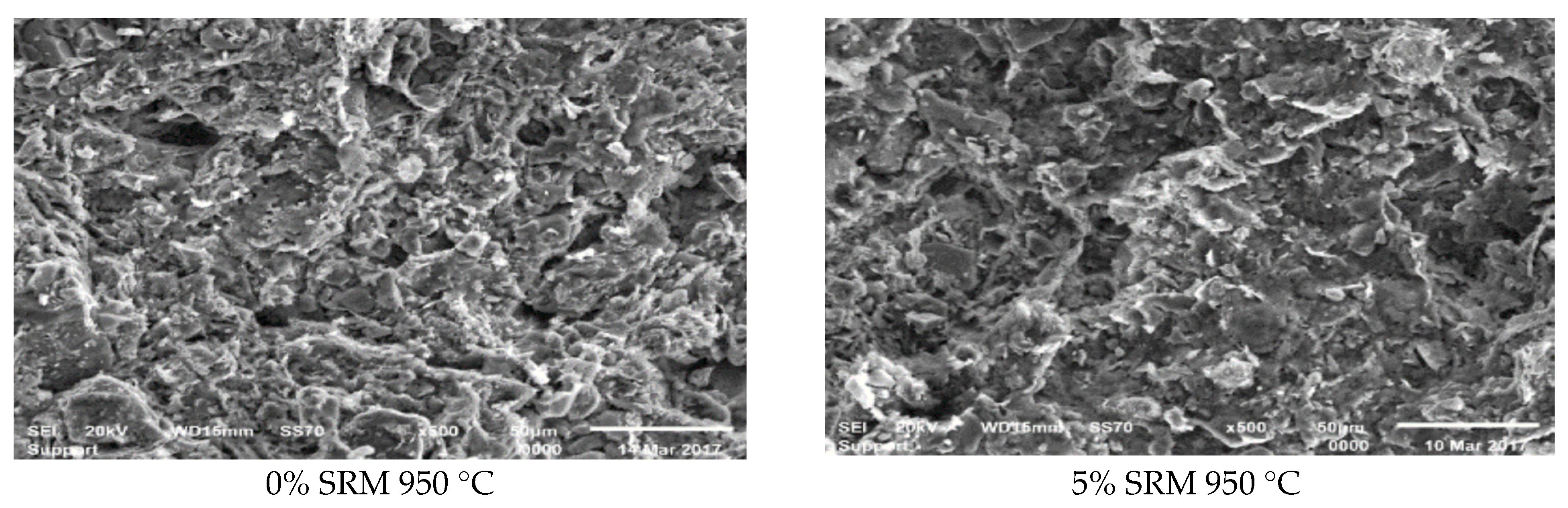 Materproc 05 00006 g001