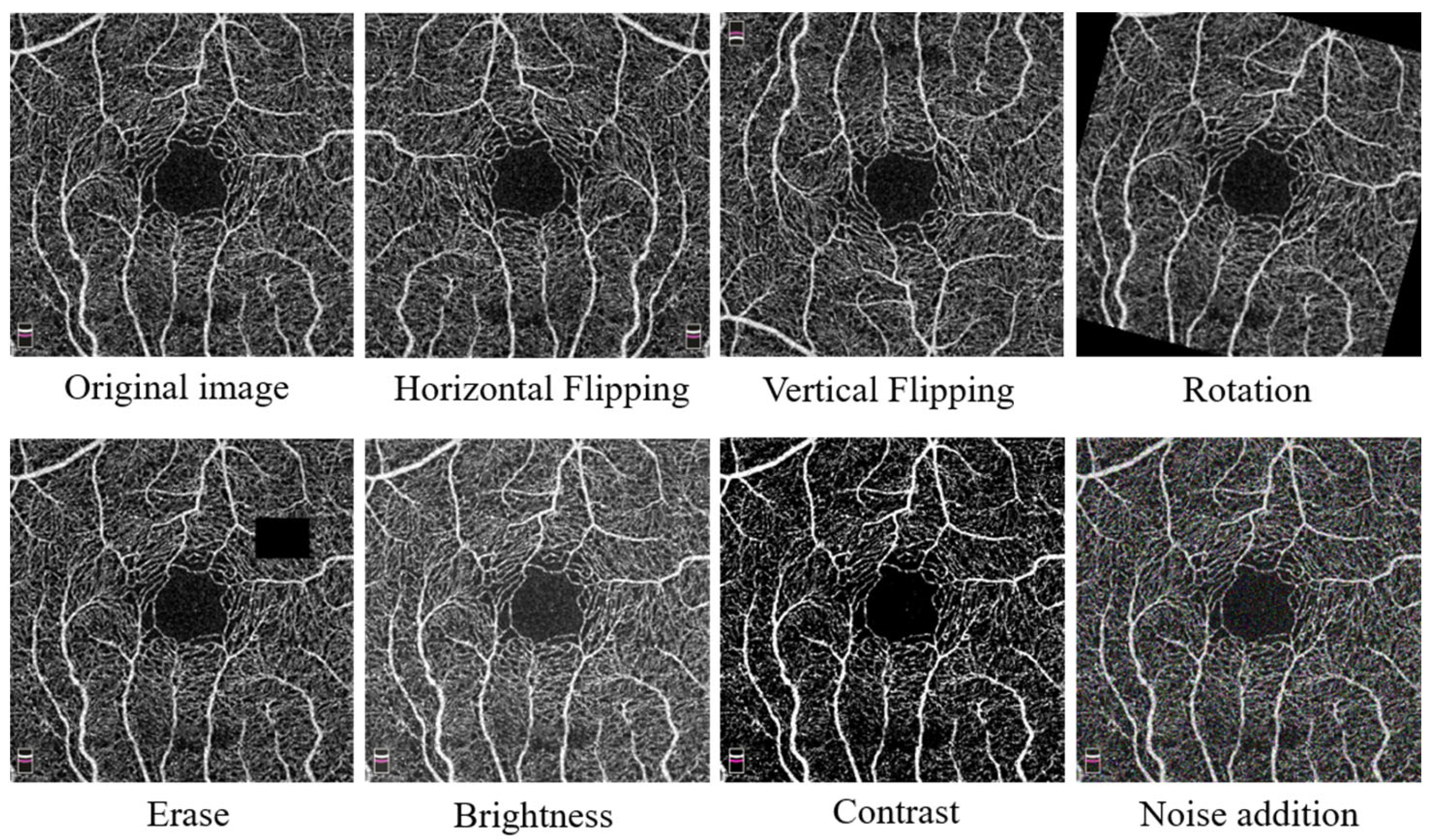Mathematics 11 04890 g002