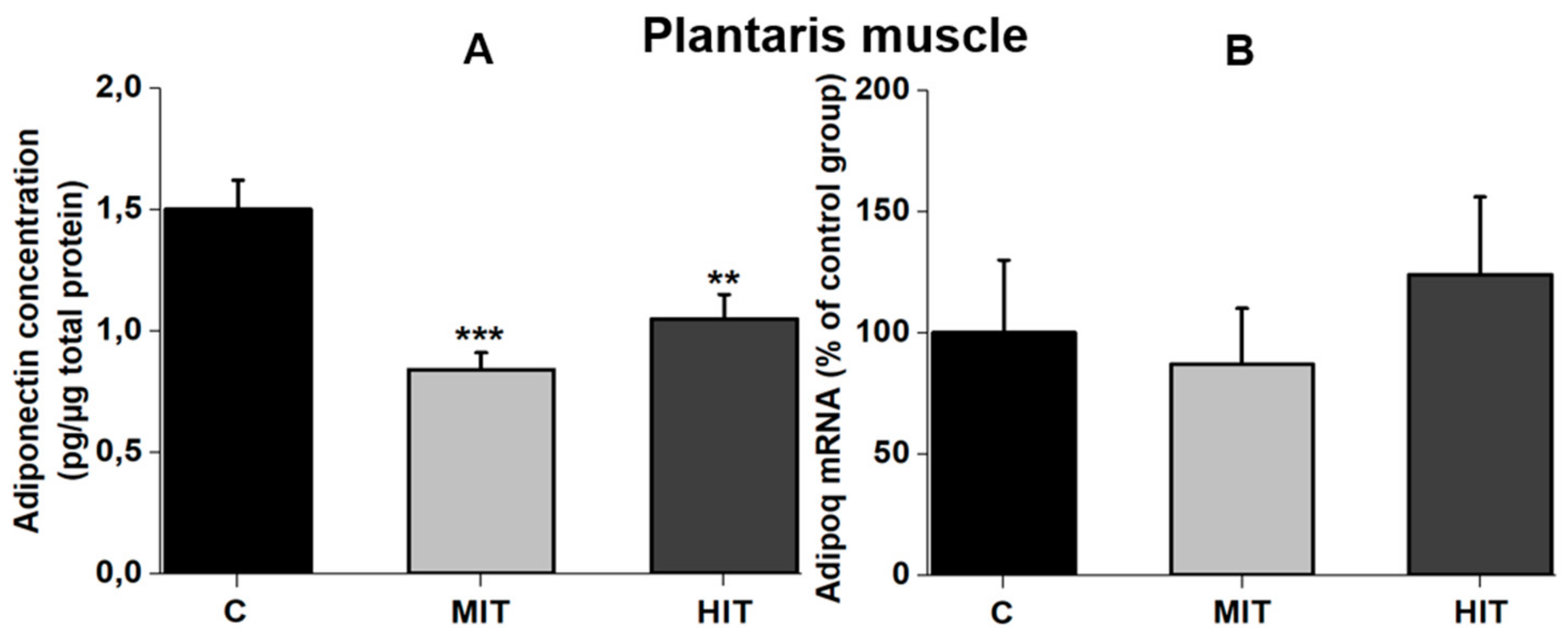Medicina 55 00291 g002