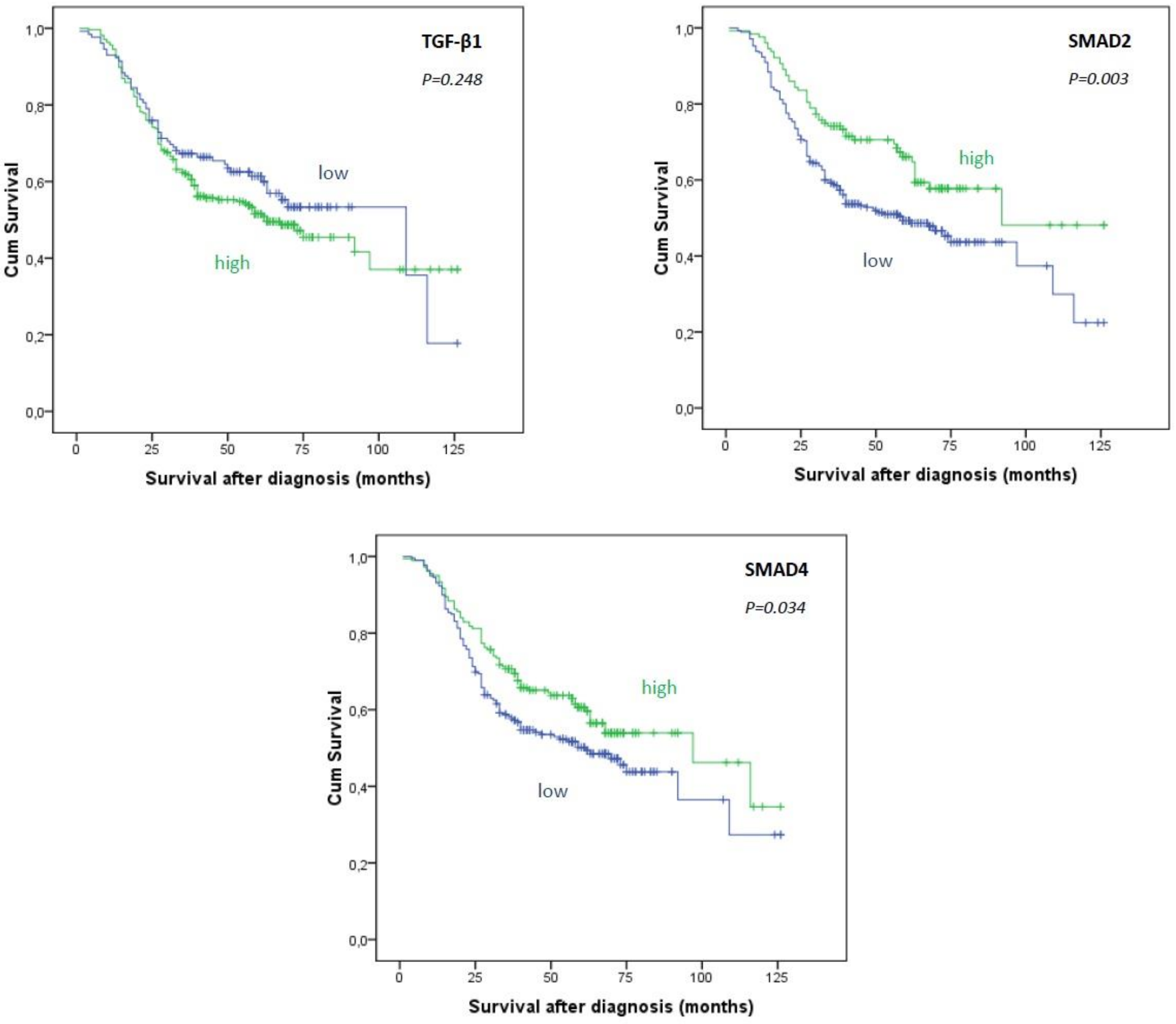 Medicina 55 00302 g002