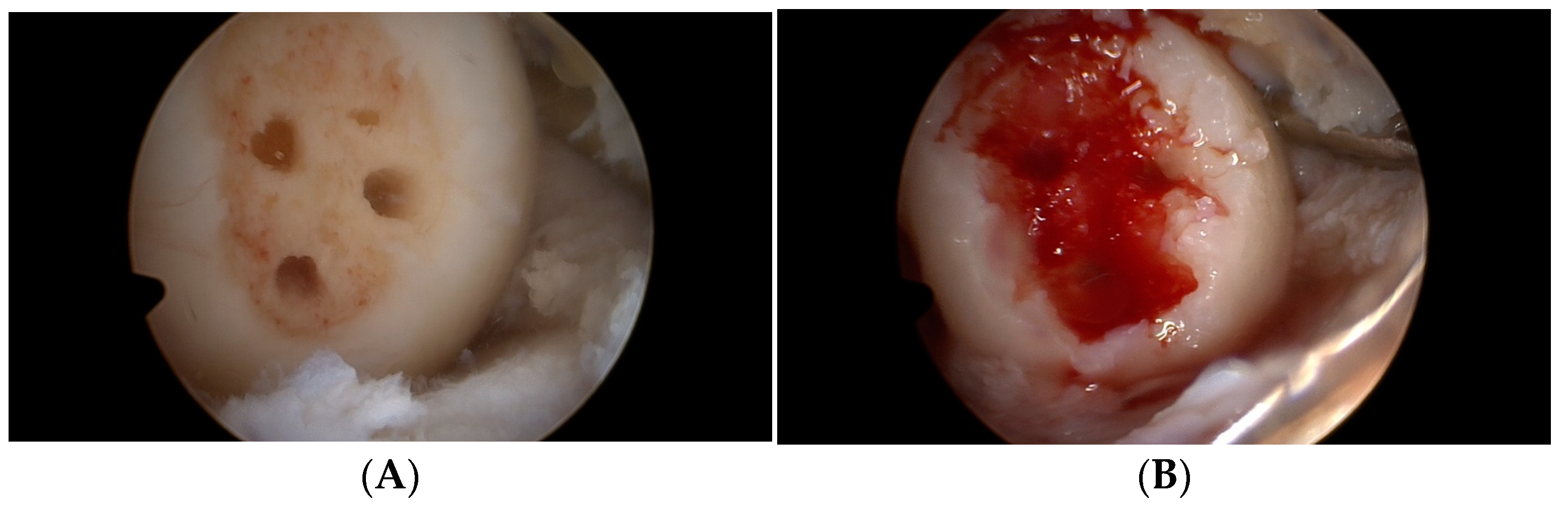 Medicina 59 00804 g003a