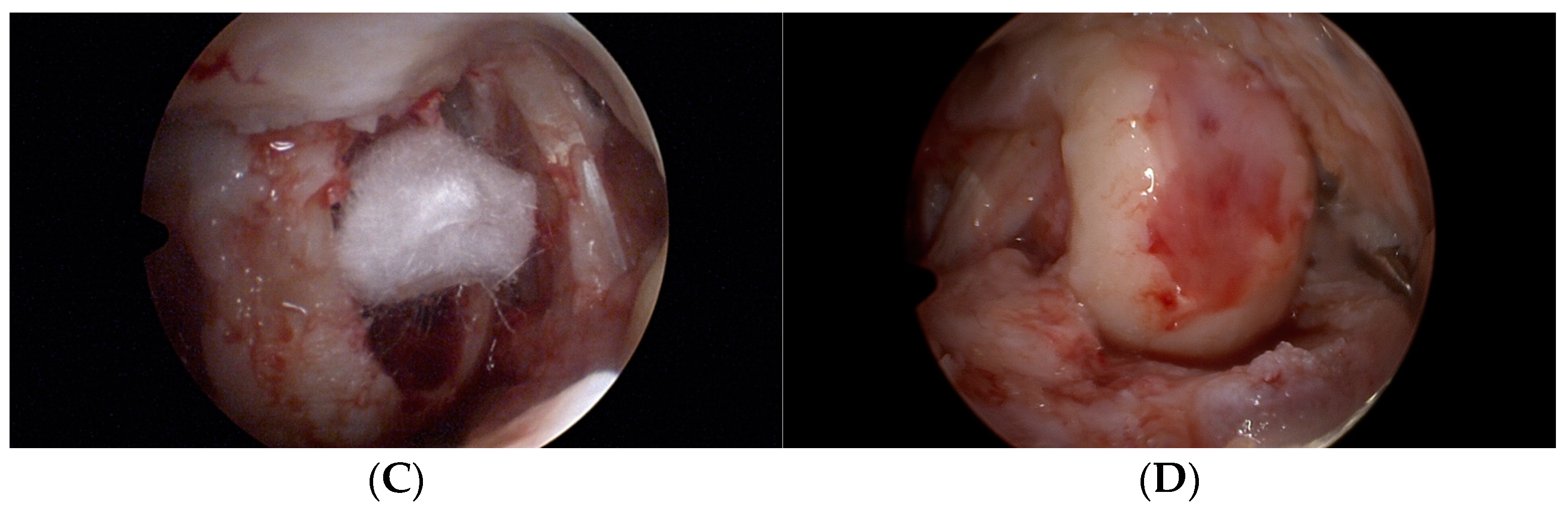 Medicina 59 00804 g003b