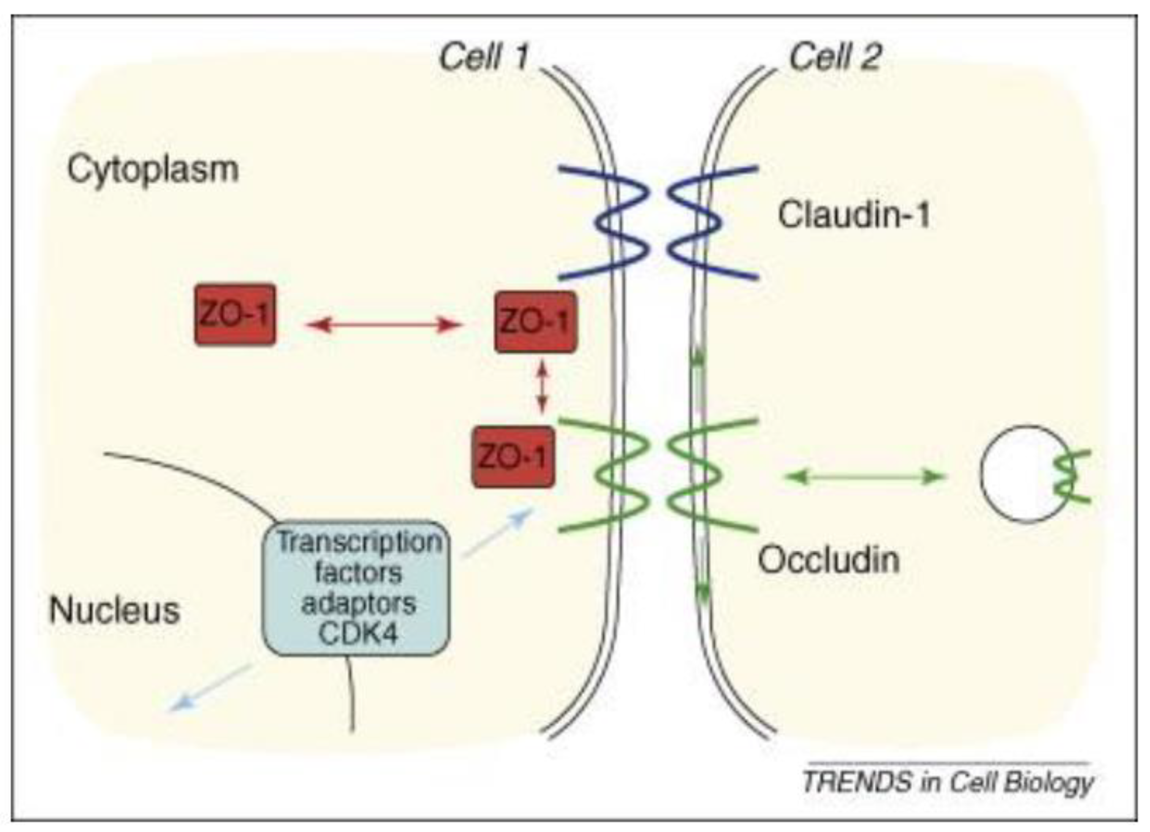 Medicina 59 01254 g001