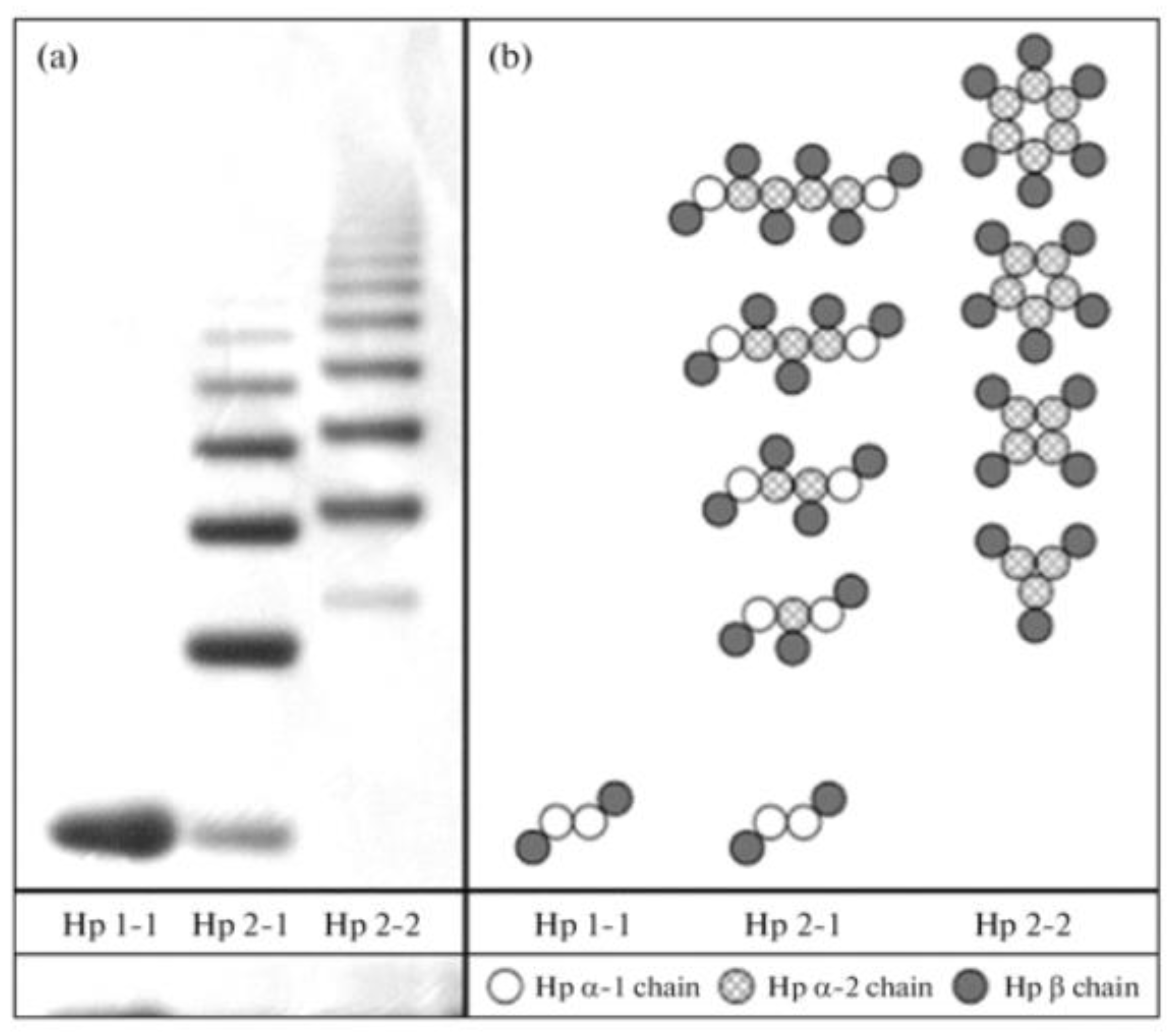 Medicina 59 01254 g005