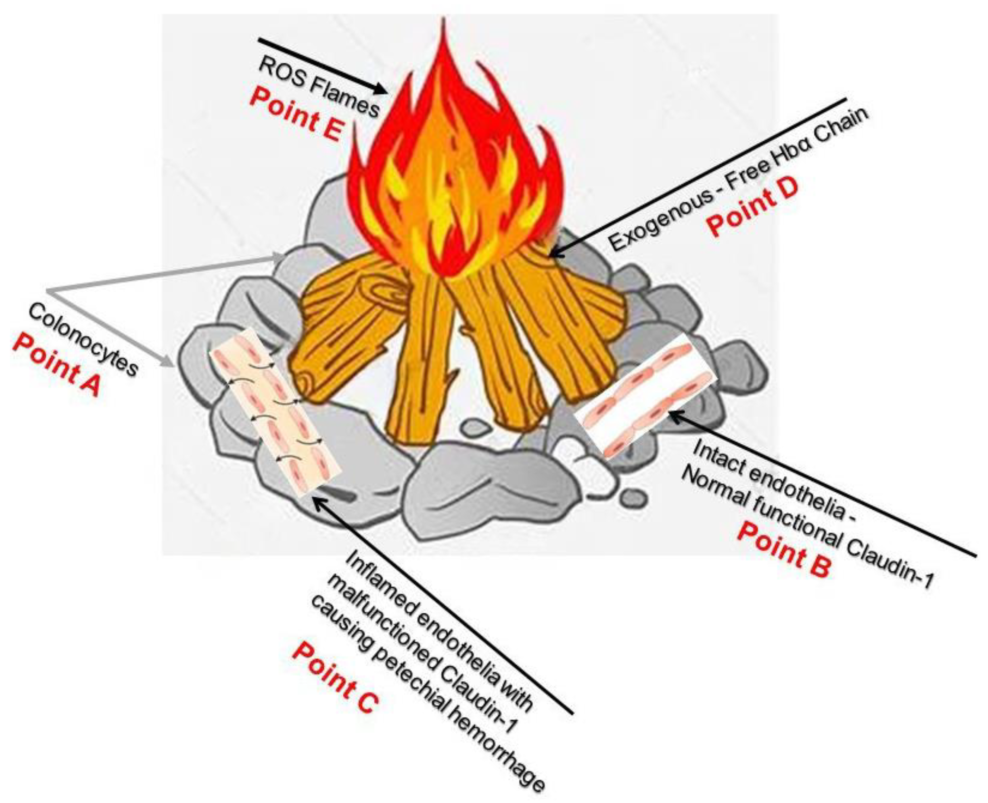 Medicina 59 01254 g008