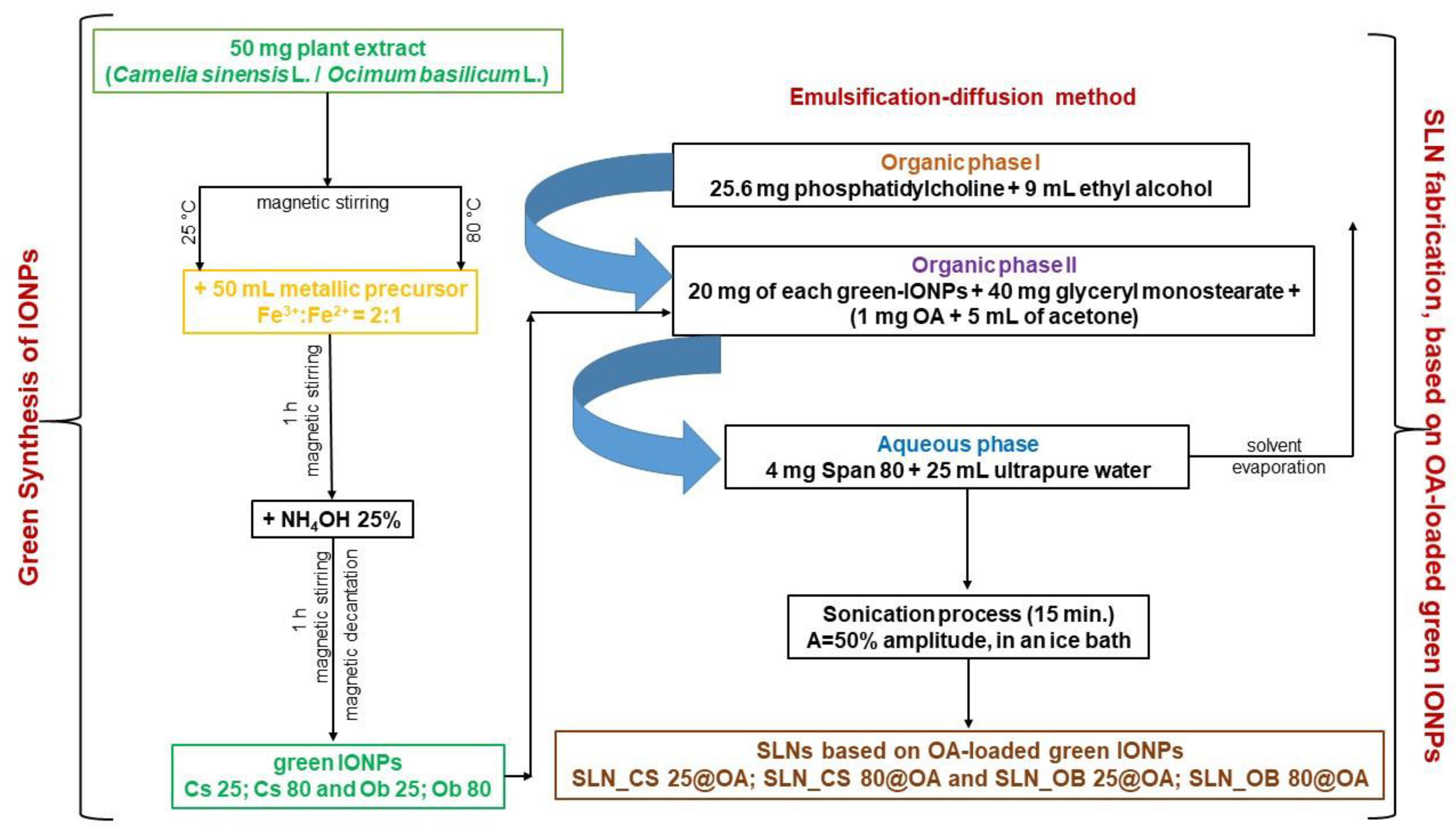 Medicina 60 00208 g001