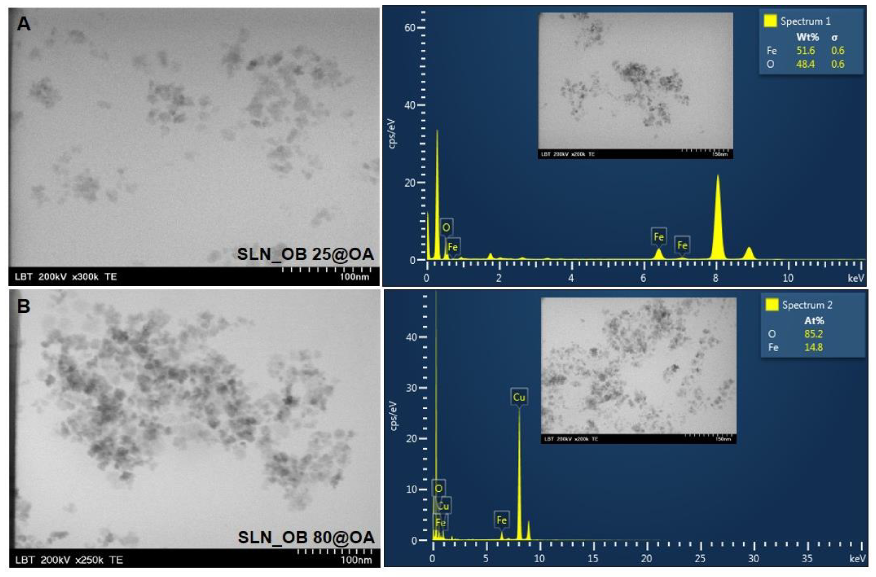 Medicina 60 00208 g004