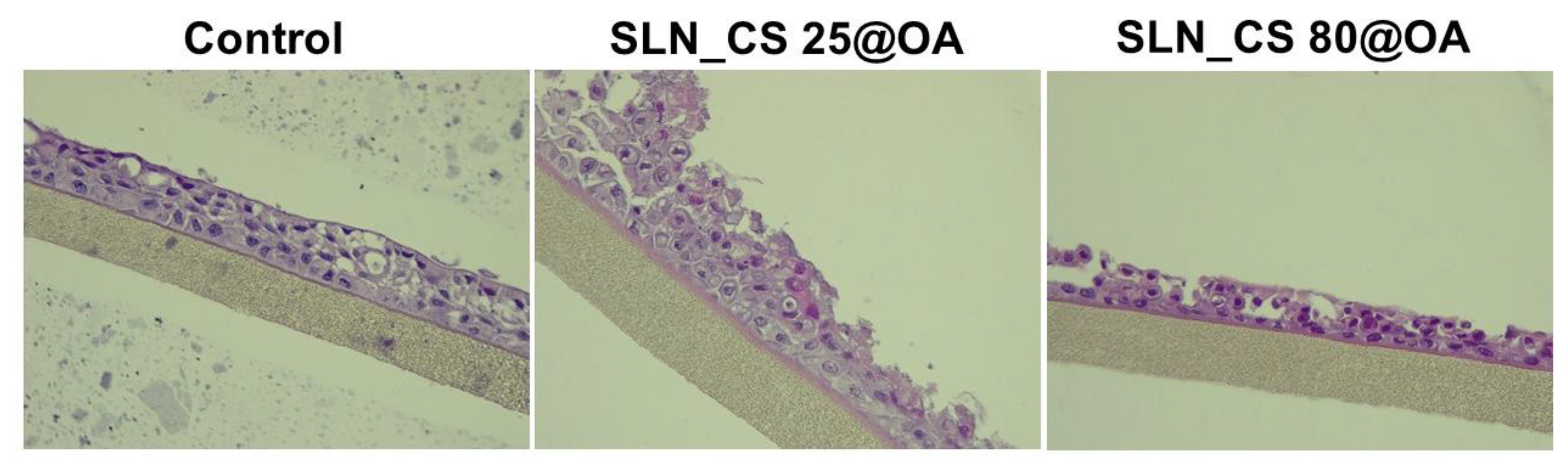 Medicina 60 00208 g006