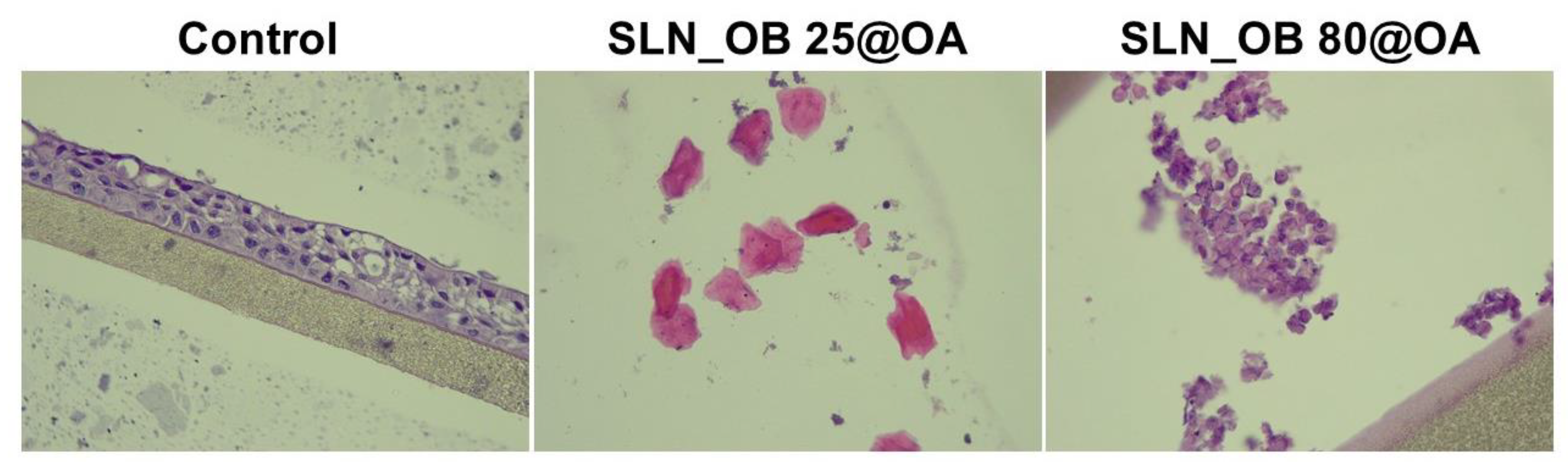 Medicina 60 00208 g007