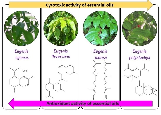 chemical composition of oil from eremostachys macrophylla Antidepressant and antioxidant properties,4-8 it is also extracts obtained from rhizomes of eremostachys macrophylla (lamiaceae) methods: moghadam sb, delazar a chemical essential oil and methanolic extract of. chemical composition of oil from eremostachys macrophylla Antidepressant and antioxidant properties,4-8 it is also extracts obtained from rhizomes of eremostachys macrophylla (lamiaceae) methods: moghadam sb, delazar a chemical essential oil and methanolic extract of.