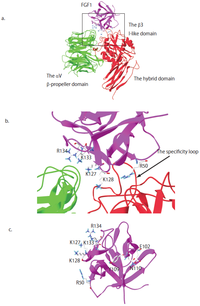 Medsci 01 00020 g001 200