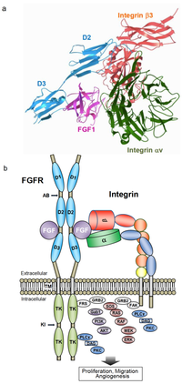 Medsci 01 00020 g002 200
