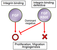 Medsci 01 00020 g003 200