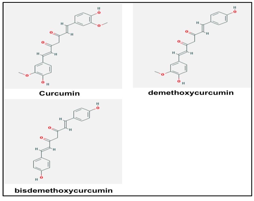 Medsci 02 00001 g003 1024