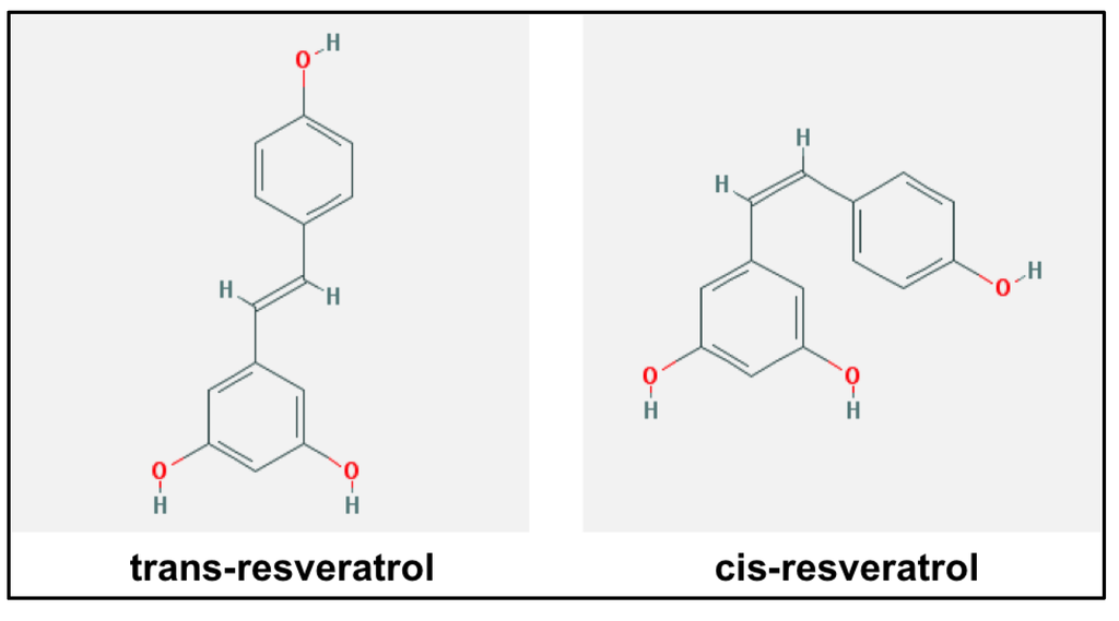 Medsci 02 00001 g004 1024