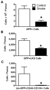 Medsci 02 00037 g003 200