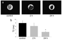 Medsci 02 00051 g004 200