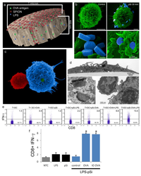 Medsci 02 00051 g006 200