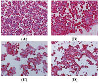 Medsci 02 00070 g002 200