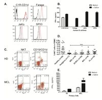 Medsci 02 00082 g002 200