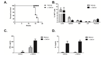 Medsci 02 00082 g005 200