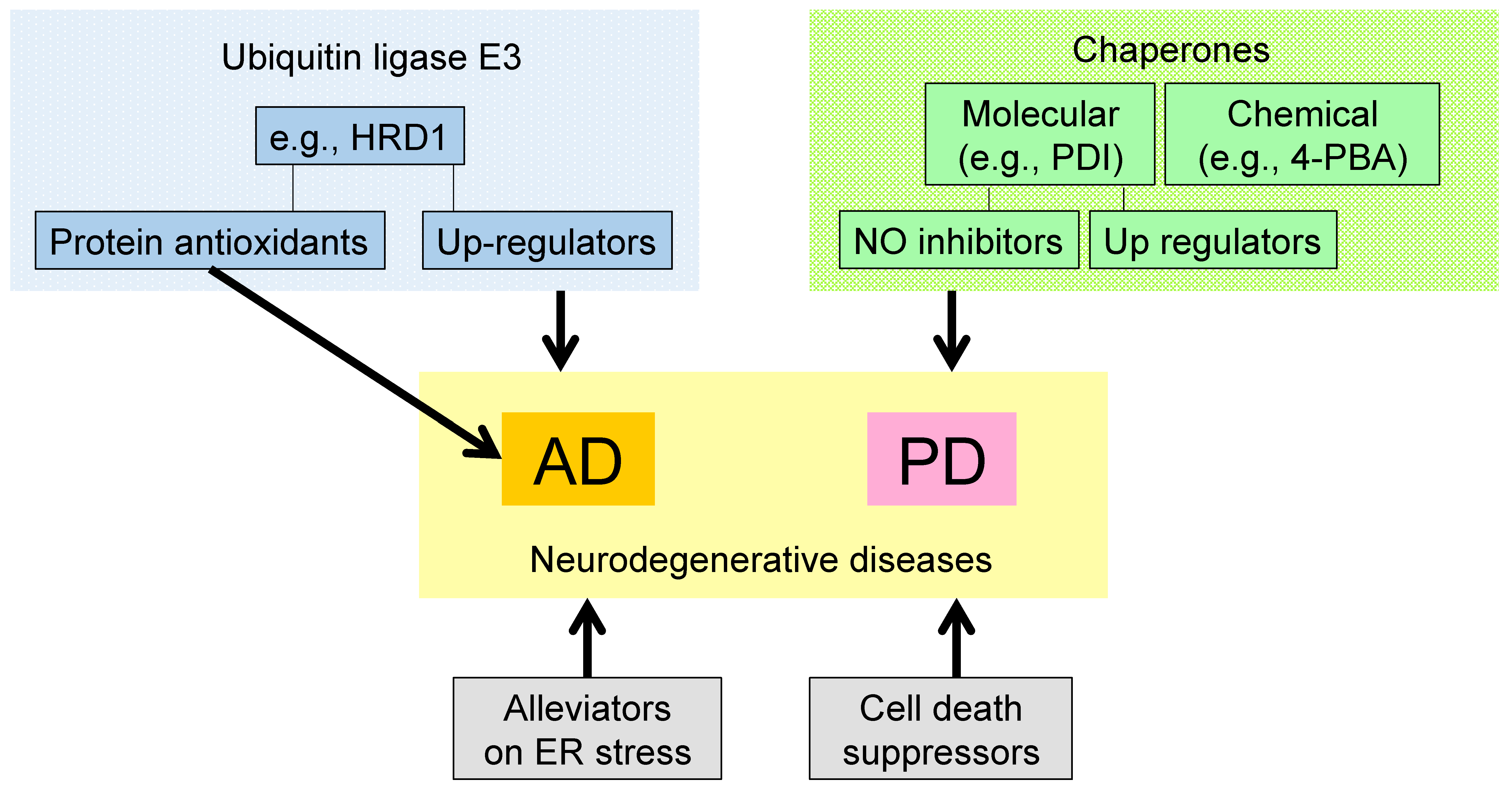 Medsci 04 00014 g003