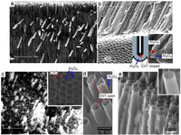 Membranes 01 00037f3 200