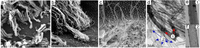 Membranes 01 00037f4 200