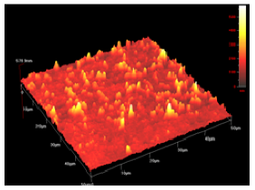 Membranes 01 00091t6