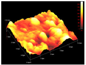 Membranes 01 00091t8