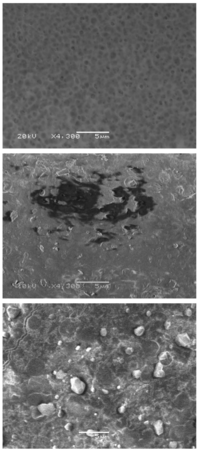 Membranes 01 00195f7 200