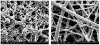 Membranes 01 00232f3 200