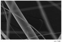 Membranes 01 00232f5 200