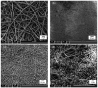 Membranes 01 00232f8 200