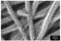 Membranes 01 00249f4 200