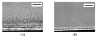 Membranes 01 00265f1 200
