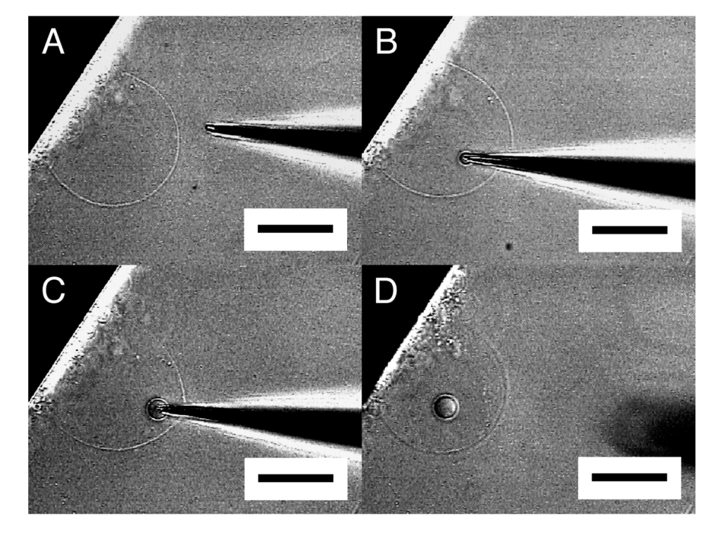 Membranes 01 00265f3 1024