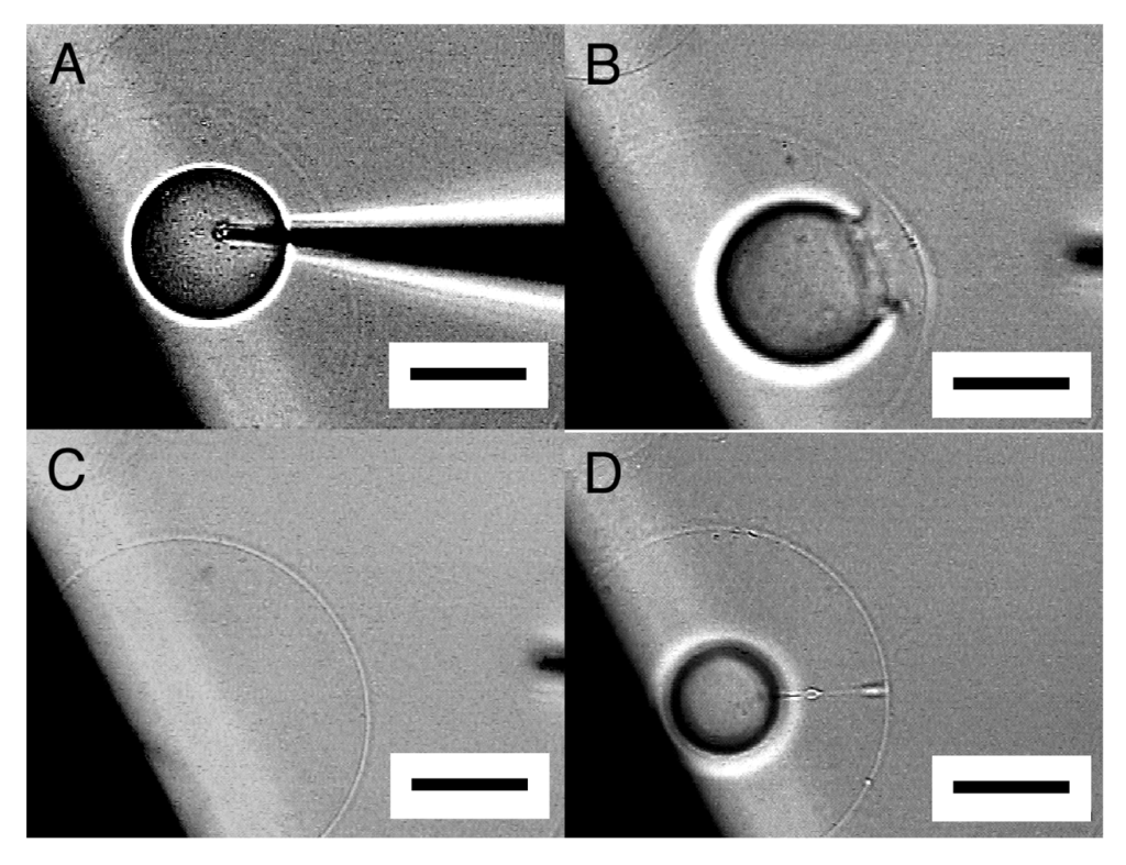 Membranes 01 00265f6 1024