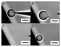 Membranes 01 00265f6 200