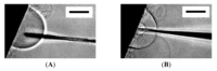 Membranes 01 00265f7 200