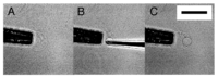 Membranes 01 00265f8 200
