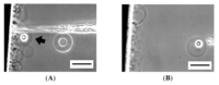 Membranes 01 00265f9 200